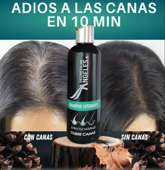 Covers gray hair™ - Shampoo cubre canas